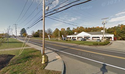 Dog day care in Norwell Massachusetts A Fox Hounds Petit 1