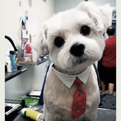 Dog day care in O Fallon Missouri Paws Relax Pet Spa 1 1