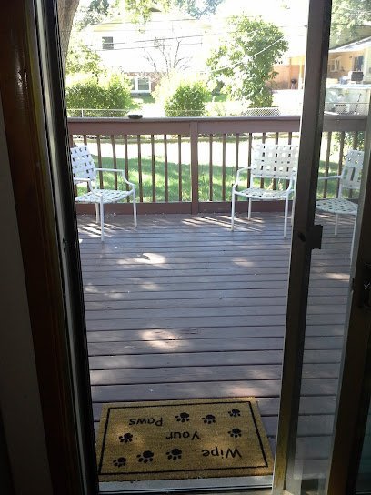 Dog day care in Oak Forest Illinois Your 2nd Best Friend s Boarding 1