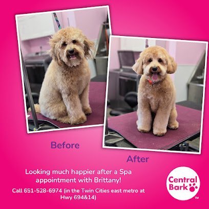 Dog day care in Oakdale Minnesota Central Bark Oakdale 1