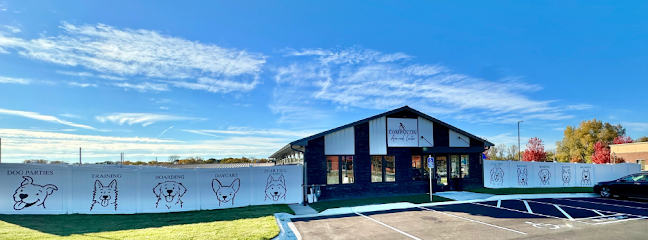 Dog day care in Oakdale Minnesota Companion Animal Center 1