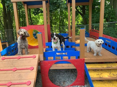 Dog day care in Oakland Maine Paws and Claws 1