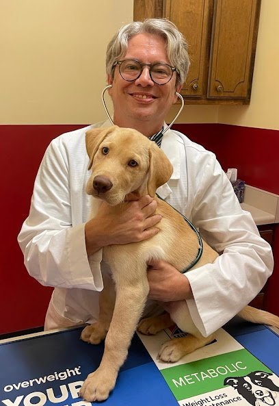 Dog day care in Oakland Tennessee Animal Care Hospital 1