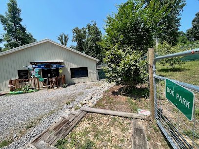 Dog day care in Ocoee Tennessee Ocoee Dogs 1