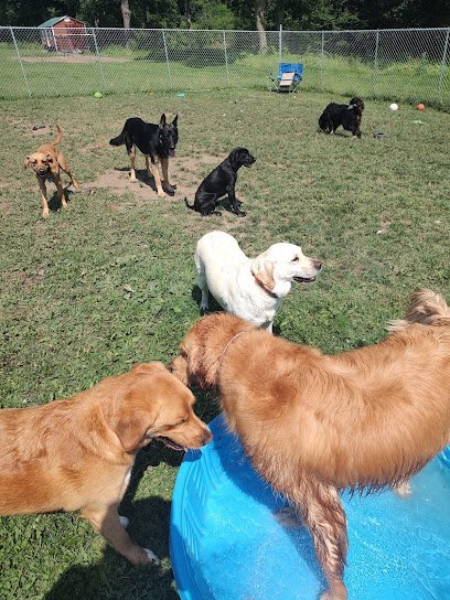 Dog day care in Ogdensburg New York Wilson s Dog Lodge 1