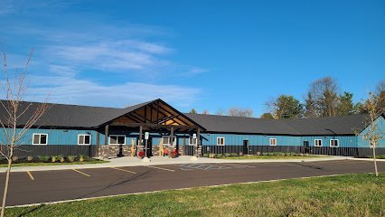 Dog day care in Okemos Michigan Dog Gone Fun LLC  1