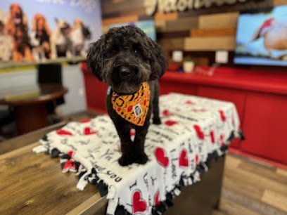 Dog day care in Old Hickory Tennessee Must Love Dogs 1