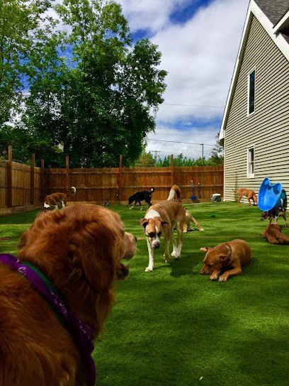 Dog day care in Oneida New York Happy Hounds Doggie Daycare Boarding 1