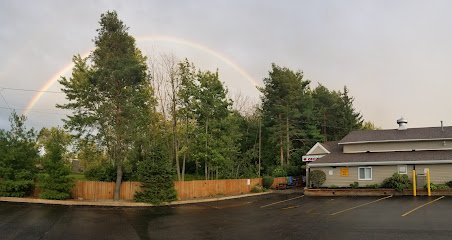 Dog day care in Orchard Park New York Eagle Ridge Kennels 1