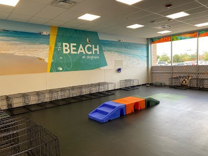 Dog day care in Orland Park Illinois Dogtopia of Orland Park 1