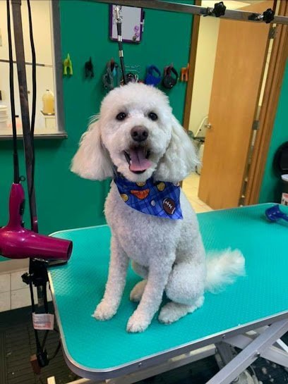 Dog day care in Ossian Indiana Best Friends Pet Grooming Boarding Daycare 1