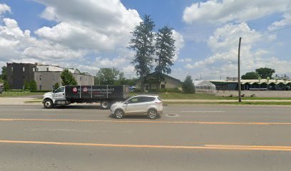 Dog day care in Oxford Michigan Oxford Canine Club 1
