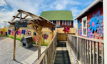 Dog day care in Oyster Bay New York Two by Four New York 1