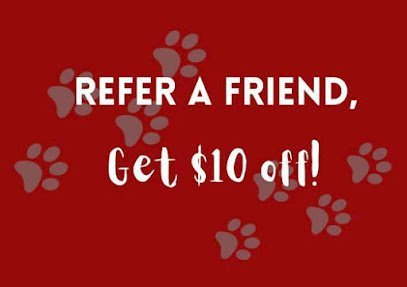 Dog day care in Ozark Missouri Caroline s Pampered Pet Motel 1