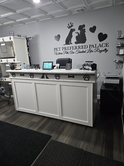 Dog day care in Pacific Missouri Pet Preferred Palace Pet Grooming Sitting 1 1