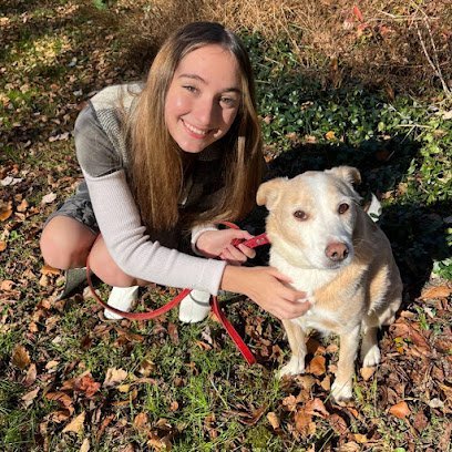 Dog day care in Parkton Maryland Paws Fur Fun 1