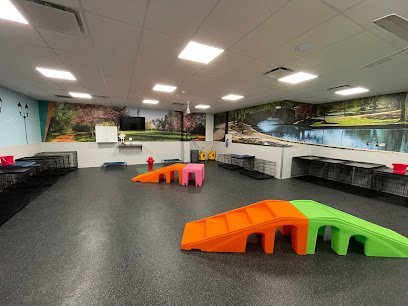 Dog day care in Pasadena Texas Dogtopia of Fairmont Parkway 1