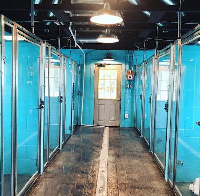 Dog day care in Pataskala Ohio Broadway Kennels 1