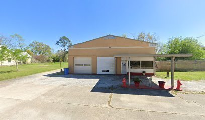 Dog day care in Patterson Louisiana The Pet Station 1
