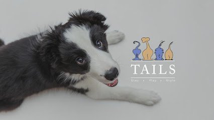 Dog day care in Pearl City Hawaii Tails of Hawaii 1