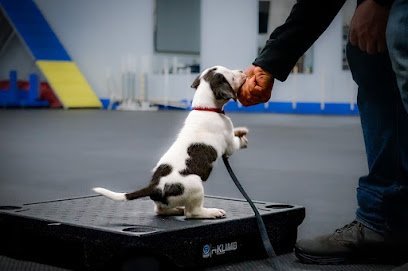 Dog day care in Pekin Illinois Ridgeside K9 Central Illinois 1