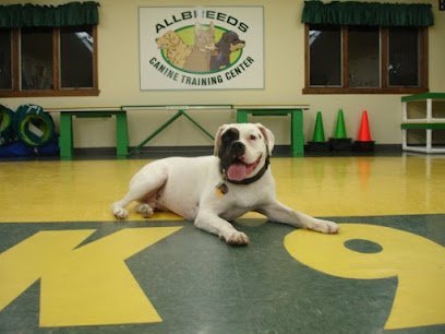 Dog day care in Pelham New Hampshire AllBreeds Canine Training Center 1