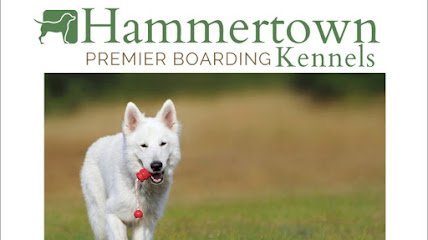 Dog day care in Pine Plains New York Hammertown Kennels Dog Boarding 1