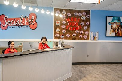 Dog day care in Pineville North Carolina Social Pet at Pineville 1