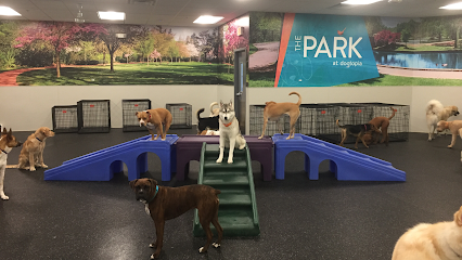 Dog day care in Plano Texas Dogtopia of Plano 1