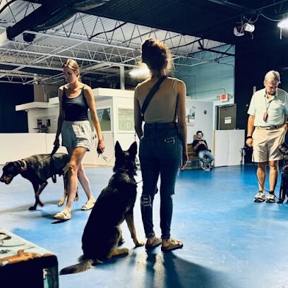 Dog day care in Plymouth Michigan Michigan Dog Training 1