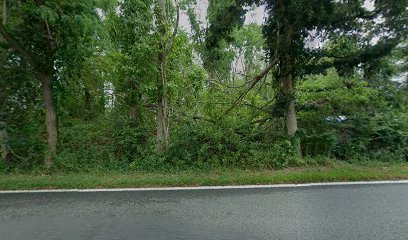 Dog day care in Plympton Massachusetts Muppys Puppies 1