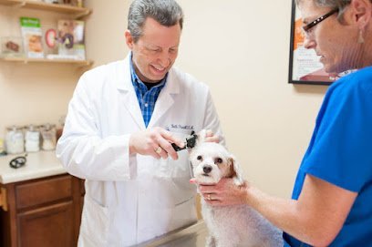 Dog day care in Pooler Georgia Westside Animal Hospital