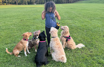 Dog day care in Poolesville Maryland K9netic Pack 1