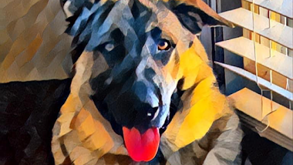 Dog day care in Port Byron Illinois Happy Pawz Playground 1