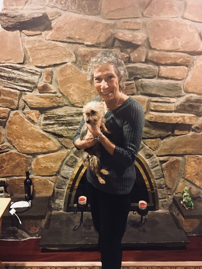 Dog day care in Port Jefferson Station New York Cecelia s Dog Walking 1