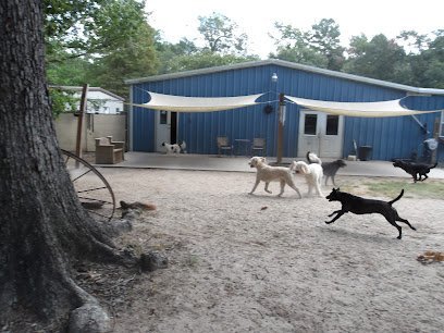 Dog day care in Porter Texas South Paw Doggie Daycare Training Center 1