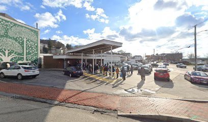 Dog day care in Portland Maine Dinky Dogs Daycare with Field Trips 1