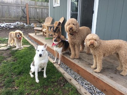 Dog day care in Portland Oregon Rainy Day Resort 1