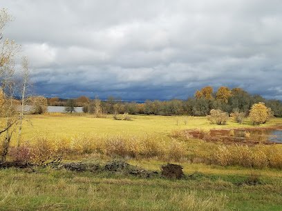Dog day care in Portland Oregon Sauvie Island Kennel 1