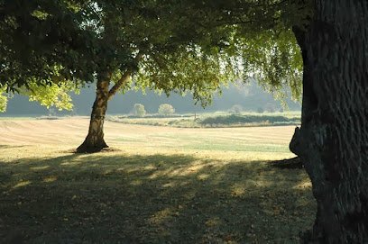 Dog day care in Portland Oregon The Charlton Kennels and Farm 1