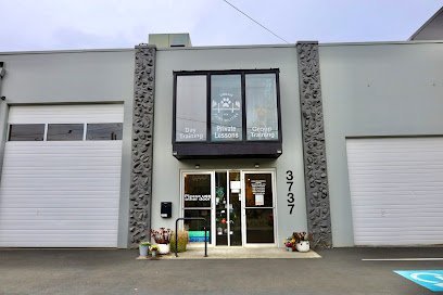 Dog day care in Portland Oregon Urban Pawsibilities Dog Puppy Training Classes in SE Portland 1