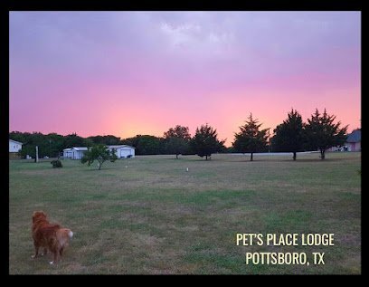 Dog day care in Pottsboro Texas Pet s Place Lodge 1