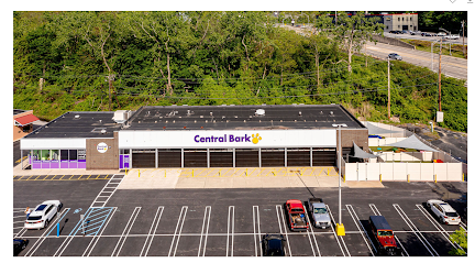 Dog day care in Poughkeepsie New York Central Bark Poughkeepsie 1