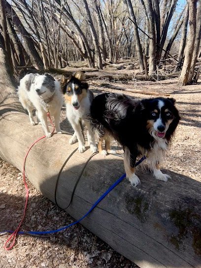 Dog day care in Prior Lake Minnesota Ruffin Around Pet Care LLC 1
