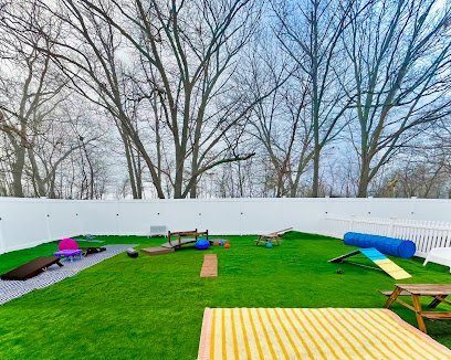 Dog day care in Quincy Massachusetts Seaside K9s 1