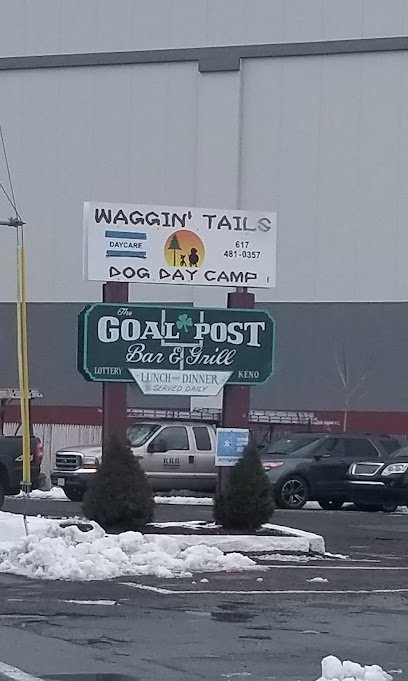 Dog day care in Quincy Massachusetts Waggin Tails Dog Day Camp 1