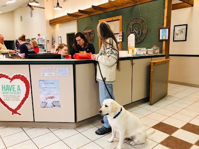 Dog day care in Quitman Texas Quitman Animal Clinic 1