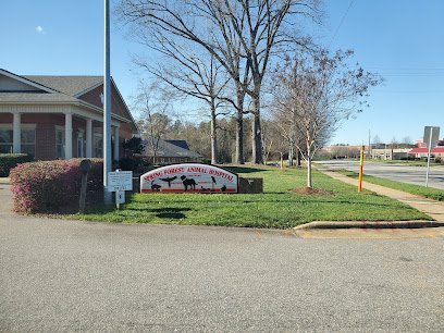 Dog day care in Raleigh North Carolina Spring Forest Animal Hospital 1