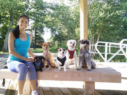 Dog day care in Randolph Massachusetts Leidy s Dog BoardingSMALL BREEDS ONLY 1