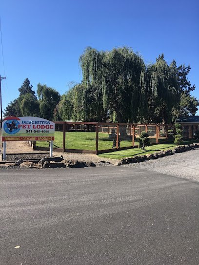 Dog day care in Redmond Oregon Deschutes Pet Lodge 1